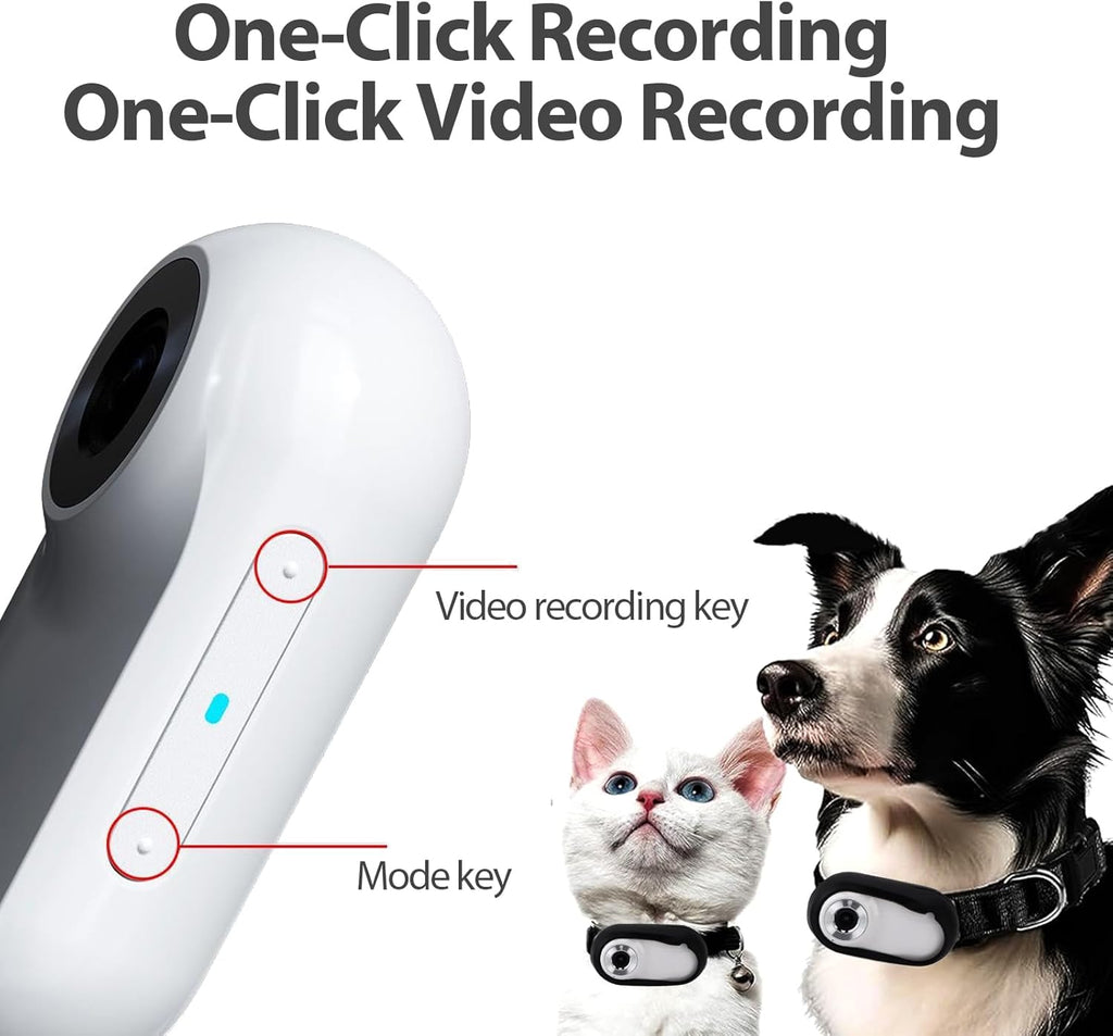 Cat Camera Collar,Hd 1080P Pet Collar Camera Cat Video Camera Mini Collar Camera,170° Wide Angle USB Rechargeable Adjustable Pet Camera Collarfor Dogs Cats Gift Indoor/Outdoor